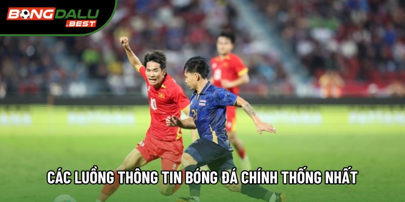 Các luồng thông tin bóng đá chính thống nhất