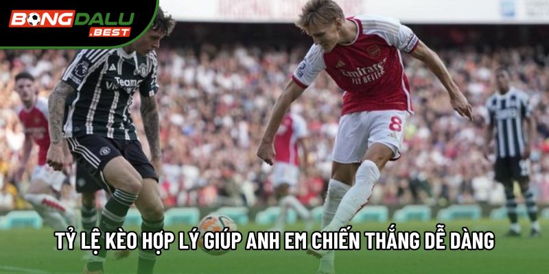 Tỷ lệ kèo hợp lý giúp anh em chiến thắng dễ dàng